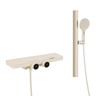 德国挪精奶油白简易淋浴恒温花洒套装精铜主体浴室浴缸枪灰三功能