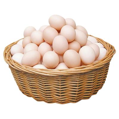正宗散养新鲜土鸡蛋50枚