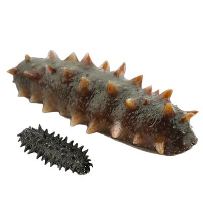 大连海参干货无糖无添加泡发率高