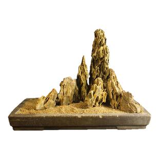 精致小鱼缸造景生态全套天然松皮石套餐水族箱懒人成品水陆假山石