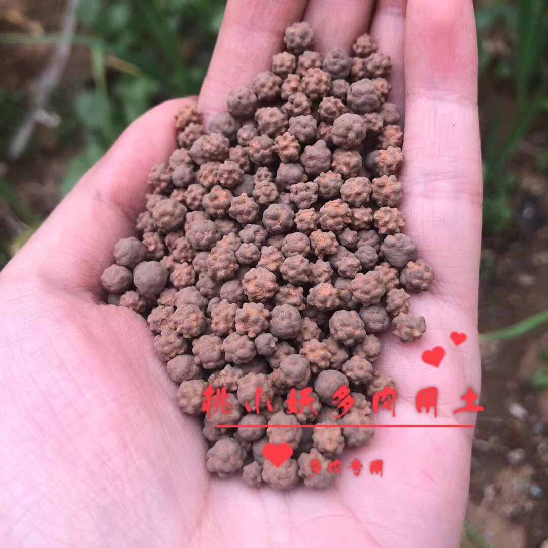 桃小妖多元土多肉铺面颗粒多元素营养土园艺植物种植球球活力土