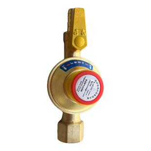 家用天然气燃气管道自闭阀漏气自动断气保护泄露防漏超压安全阀门