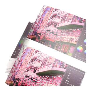 造像之术 职业修图师的商业摄影后期精修 技法篇 刘杨摄影书籍商业人像摄影后期精修调色技巧教程PS照片处理后期教程书籍