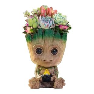 多肉植物仙人掌类格鲁特仙人球盆栽办公室内桌面好养开花绿植礼物