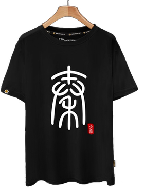 秦朝秦始皇唐宋元明清中国风历史