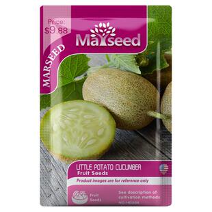 【掌柜推荐】进口传家宝Little Potato 猕猴桃小土豆黄瓜种子籽孑