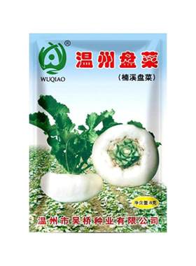 温州盘菜种籽可生吃芥菜菜籽