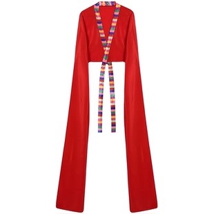 上衣女藏族水袖舞蹈服装成人袖子古典练功服甩袖演出服采薇惊鸿舞