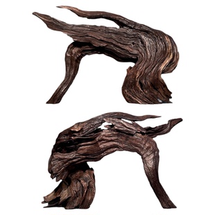 二马沉木40cm小米鱼缸造景沉木 ADA水族造景精品沉木小号小型水草