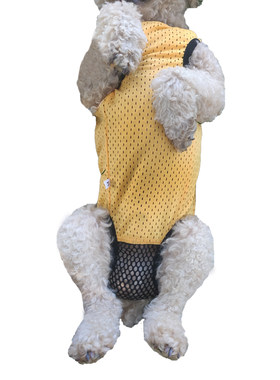 月经连体防尿衣服避孕免脱生理裤