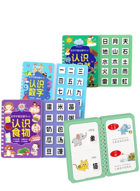 识字书幼儿认字启蒙早教安静书