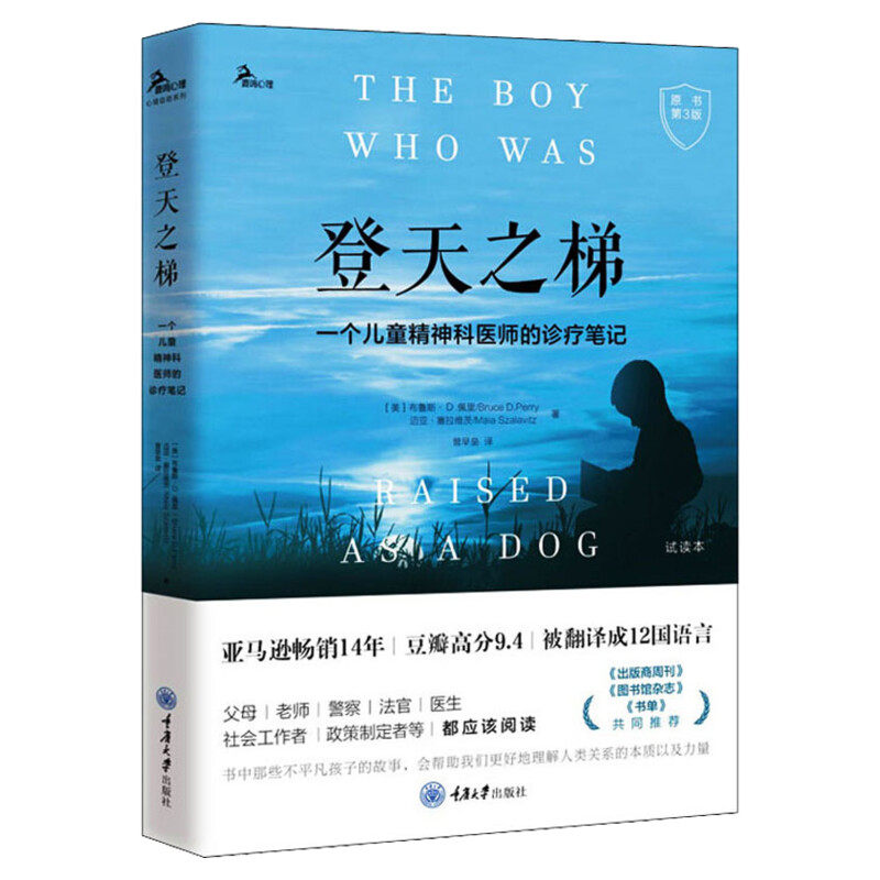 登天之梯 一个儿童精神科医师的诊疗笔记 原书第3版 布鲁斯·D.佩里 迈亚·塞拉维茨 儿童心理学书籍 理论与案例心灵创伤问题 正版