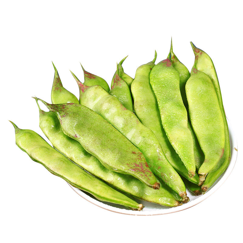 现摘正宗东北油豆角！鲜嫩可口！