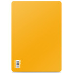 20个装得力塑料加厚书写垫板儿童学生A4考试彩色写字板绘画复写板