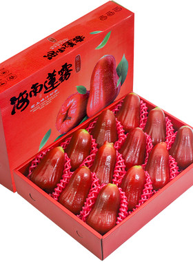 顺丰次日达丨黑金刚莲雾5斤特大