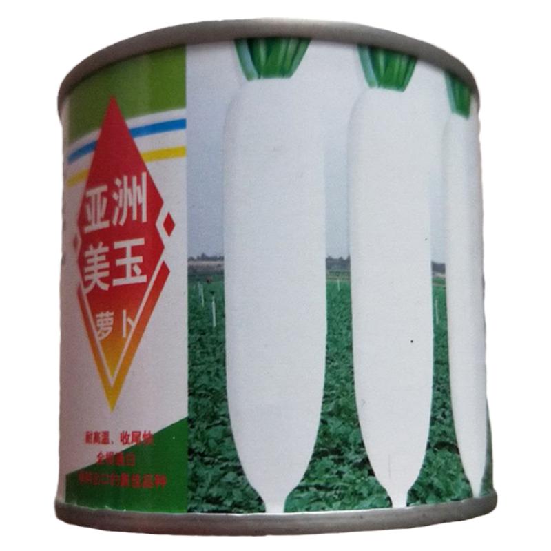 长白萝卜种子春秋季高产
