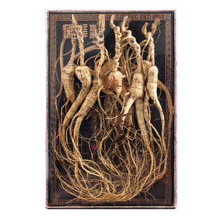 人参长白山林下参20年东北特产林下山参整枝礼盒装干货人叁高龄参