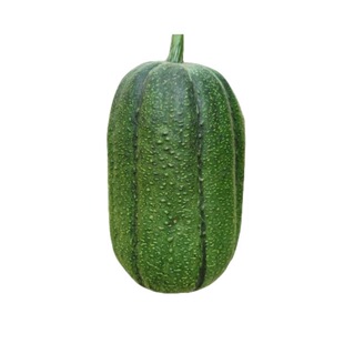 苹果丝瓜种子菜瓜种籽盆栽籽种家庭 种菜播种蔬菜菜籽四季种籽孑