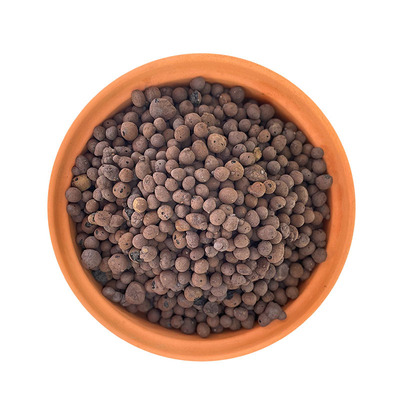 园艺陶粒垫底铺面兰花多肉盆栽