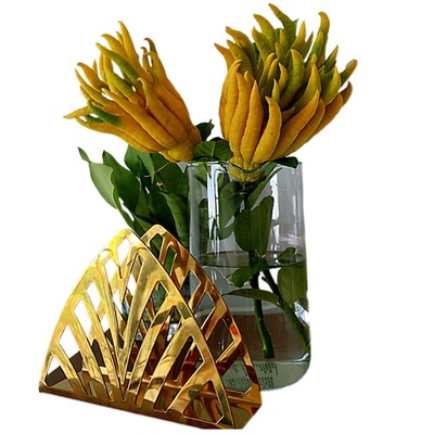 现摘金华佛手带枝水养水培佛手柑佛手果新鲜佛手瓜观赏闻香食用