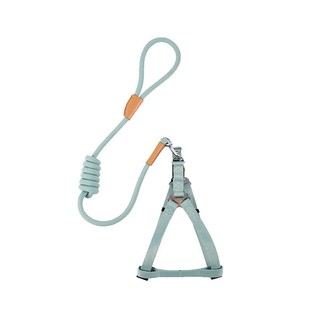 中恒狗狗牵引绳背心式狗绳子网红小型中型犬泰迪遛狗胸背带狗链子