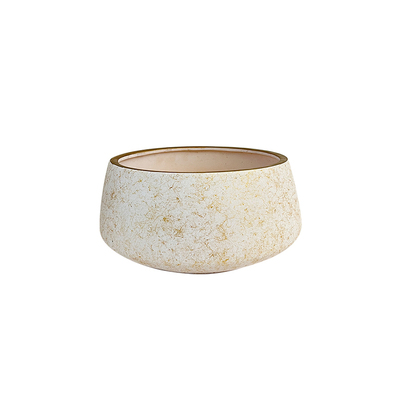 高级感多肉花盆大口径带托盘陶瓷盆仙人掌花盆造景多肉植物专用盆