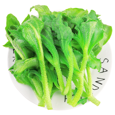 现摘冰草凉拌菜沙拉蔬菜火锅菜