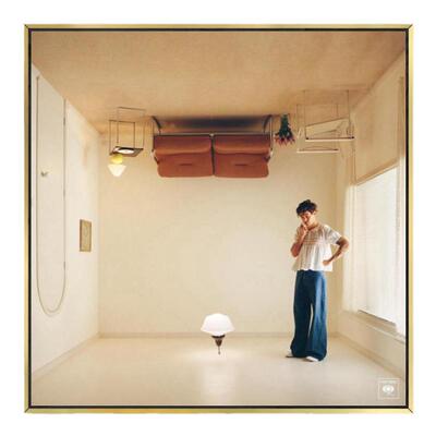 HarryStylesHouse专辑艺术挂画