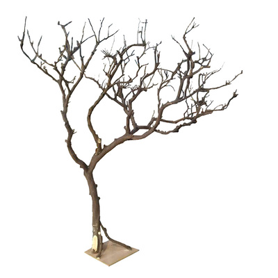 干树枝造景室内庭院原木装饰