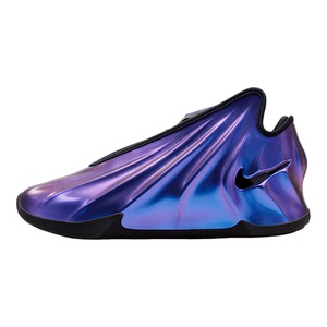 Nike/耐克正品2026年男女款耐磨时尚经典缓震篮球鞋IV0521-500