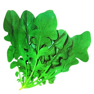 东北臭菜种籽芝麻香菜青菜种籽大全四季秋后菜种子秋冬过年种孑