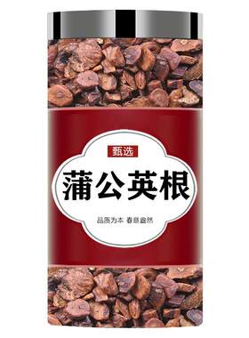 蒲公英根中药材泡茶泡水