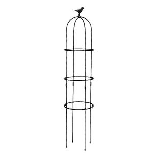 月季爬藤架花架爬藤支架铁线莲绿植物支撑杆花柱铁艺花盆园艺支架