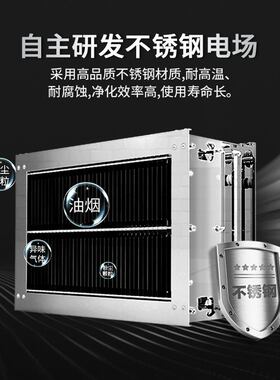 明档烧鸟净化车无烟管汉堡店炸鸡店油烟净化设备商用内循环油烟机