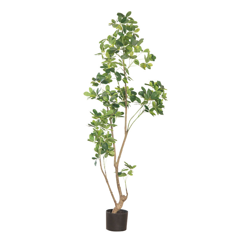 北欧ins风网红仿真绿植黄杨树