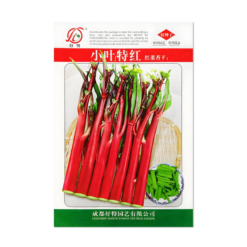 好特小叶红菜苔种子杂交早熟