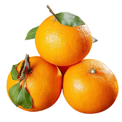 顺丰礼盒  正宗黑标新奇士橙9斤当季新鲜橙子进口特大果3107甜橙