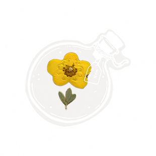 枫叶树叶标本粘贴画天然干花diy材料植物压花真花银杏叶子落叶画