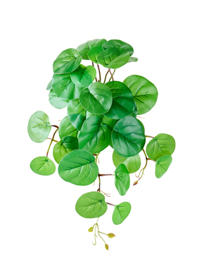 仿真小草叶子植物造景装饰品