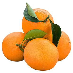 精品江西信丰赣南脐橙整箱20斤新鲜现摘带叶橙子当季时令水果甜橙