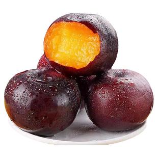 翠冠梨树果苗嫁接苗南北方种植早熟黑布林苗牛油果树苗大果酪梨