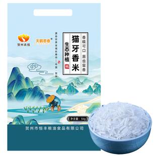 2025年新米真空猫牙米长粒香米软糯农家大米油粘晚稻丝苗米煲仔饭