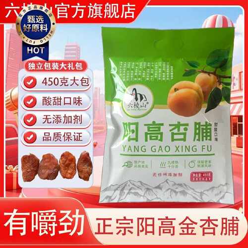 六棱山阳高特产酸甜杏脯独立小包装大礼包450g阳高杏干孕妇零食