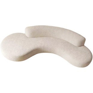 北欧简约弧形布艺沙发客厅小户型新款轻奢高级感美容院服装店沙发