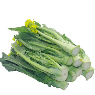 正宗广东增城迟菜心时令新鲜蔬菜买农家现摘应季批发当季生鲜青菜