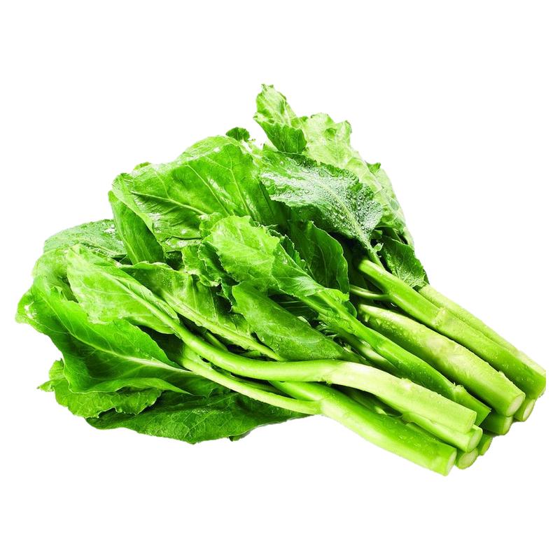 鸡腿芥蓝种子潮汕芥兰菜粗条籽种耐热耐寒农家四季盆栽蔬菜种子孑