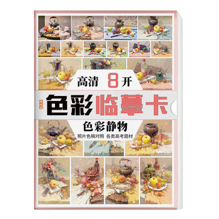 色彩静物临摹卡 水粉画静物入门照片图片范画基础素材组合色稿色调国美美院手绘画册本高考联考书艺术美术绘画教学教程书籍教材