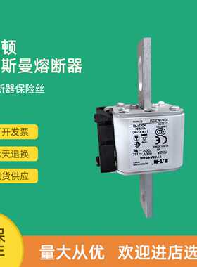 议价全新快速熔断器保险170M4662 170M4663 170M4664 170M4665