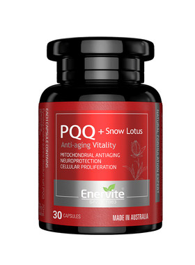 EnerVitePQQ细胞营养亚精胺衰老