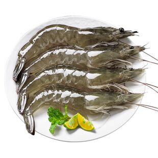 青岛大虾鲜活冷冻特大号2030海虾基围虾盐冻无冰青虾氮气海虾海鲜